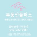 더플러스부동산중개사무소 이미지