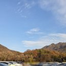 중앙태권도합기도교육관 | 서울랜드 크리스마스마켓 쇼킹산타 불꽃놀이까지 주말 오후권 야간개장 후기