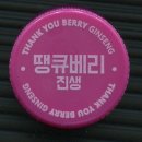 땡큐베리(Thankyou berry) 이미지