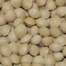 비학농장 이미지