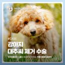 원종동물병원 이미지