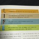 도그라이프 이미지