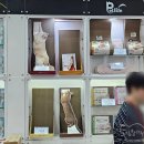 주식회사 펫라이프 이미지
