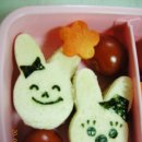 다시;봄김밥