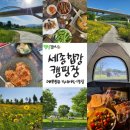 합강캠핑장(관리동) | [캠핑갔찌]세종합강캠핑장 주말캠핑!(예약방법, 이용안내, 부대시설, 명당)
