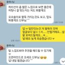 라포레 | 드레스 투어 로즈로사 클라라 라포레 중 선택하기 후기!