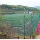 에코랜드수영장 축구장 이미지