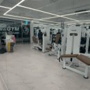 더 보스짐 이미지