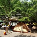 무릉도원면-41 이미지