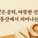 성지부동산중개사무소 이미지