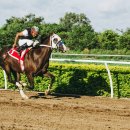 인터넷챔피온 이미지