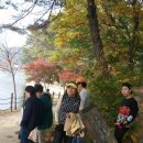 운서초등학교 이미지