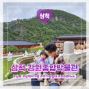 삼척 강원종합박물관 (박물관, 아이와 실내. 동굴. 공룡. 식당. 카페)