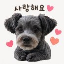 을지로 곱창 맛집 세광양대창 내돈내산 후기, 회식하기 좋은 양대창 전문점