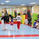 MTA태권도장 이미지