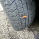 진례카타이어 이미지