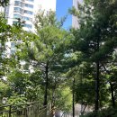 신동아명품마트