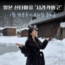 우산길 | 일본 겨울 소도시 여행 시라카와고 1월 방문 후기 날씨 옷차림 준비물 우산 장갑