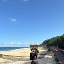 나무그늘 포토타임 이미지