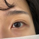 아이블리 이미지