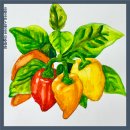 이화아트스테이션미술학원 이미지