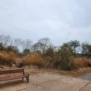 우리동네 행정사 사무소 이미지