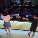 또또와 실내낚시카페 이미지