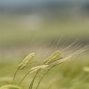 제주의사계 이미지