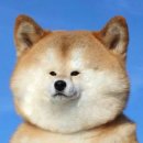 옐로우 짐 이미지