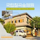 산림마트 | 국립칠곡숲체원 1박2일 산림치유캠프 후기, 희망리턴패키지 심리회복 프로그램 | 여블제니