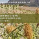 신양사 이미지