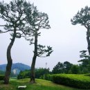 황산사거리.풍산동행정복지센터 이미지