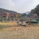 파트라슈 애견 펜션 이미지