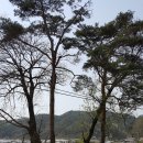 함월당 Daum카페