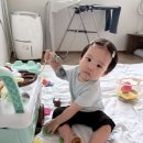 젠틀도넛카페성산 | 함께하는 제주 한달살이 기록 Day12(삼무국수,젠틀도넛카페성산,빛의벙커,망고데이필리핀디저트가게)