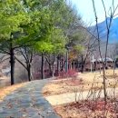 7년 만에 다시 열린 괴산의 숨겨진 보석