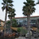 돈 파스타 이미지