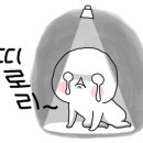 눈사람안경원 이미지