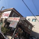 오, 심숙이 쭈삼낙 이미지