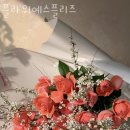 예스플리즈 이미지