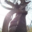 추구농장 이미지