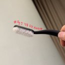 하루두피 둔산점 | 대전 둔산 두피관리 잘하는 곳 🌿 웰킨 두피·탈모센터 둔산점 정밀 진단 후기