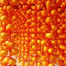 양촌면 동구리마을 이미지