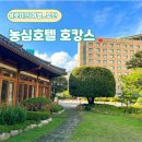 허심천목욕탕 | 부산 농심호텔 호캉스, 허심청 온천 조식 후기