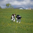 제주우리동물병원 이미지