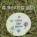 성모자애복지관 이미지