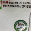 건강한 간식으로 딱 좋은 건강빵｜강진쌀귀리빵·강진쌀귀리팥빵 후기 (답례품추천 디저트)