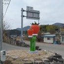 수곡면 딸기조형물 이미지