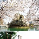 피크닉짐 이미지