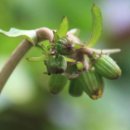 연봉초등학교 이미지